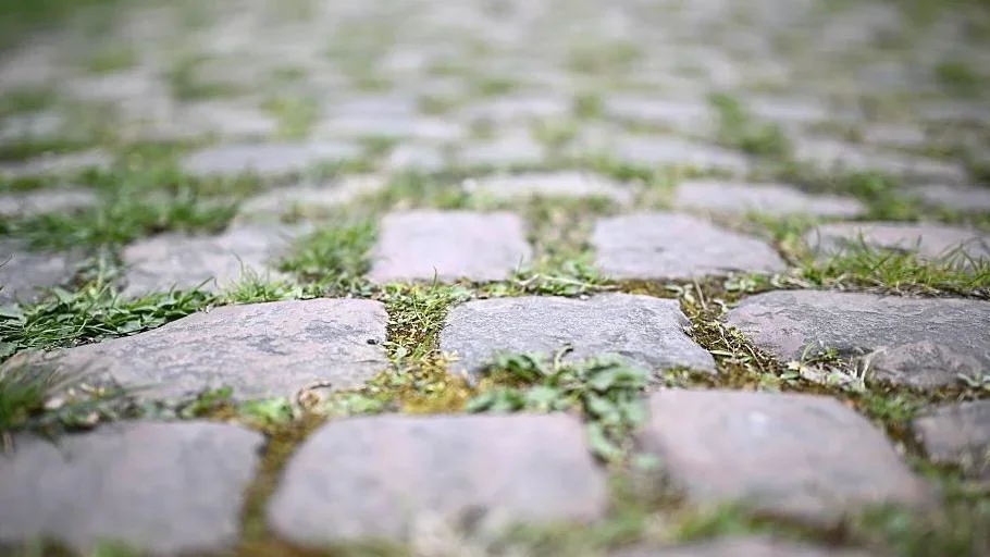 Le Pave at Paris-Roubaix